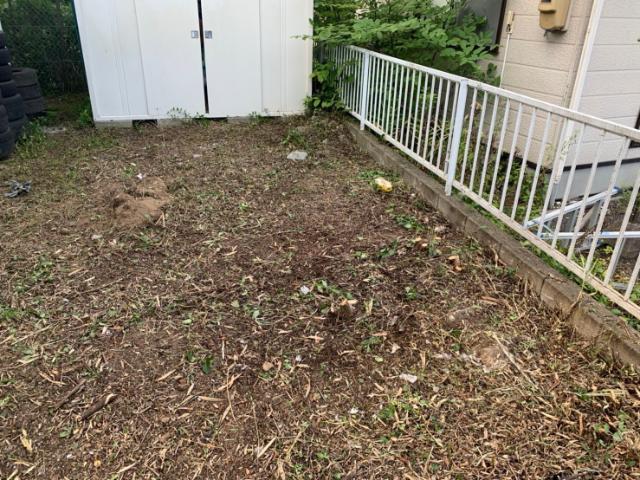 伐採作業の後