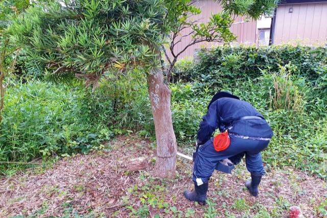 伐採作業