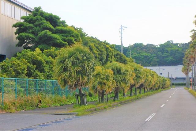 工場の植栽