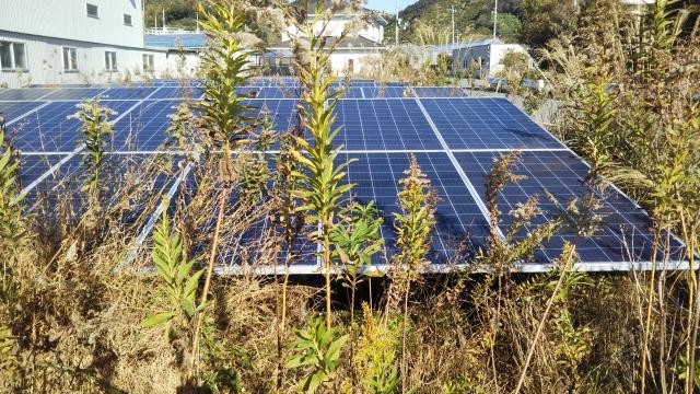 太陽光パネル除草